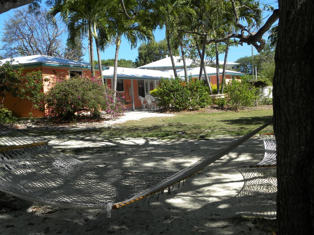 Mini-hôtel Rock Reef